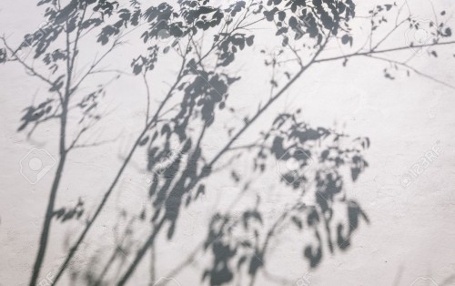 2019年5月份講座